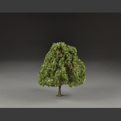 Apple tree