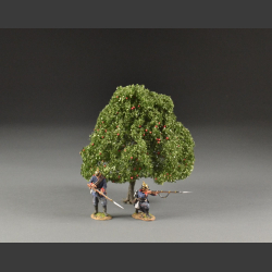 Apple tree