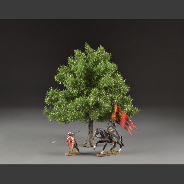 Maple summer tree