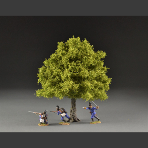 Ash tree spring