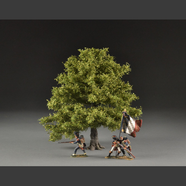 Ash tree summer