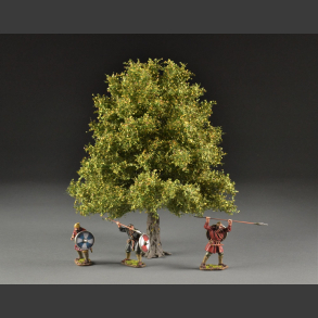 Ash tree latesummer