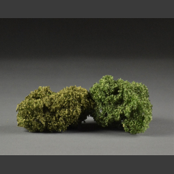 Low shrubs