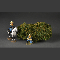 Large bush - early autumn