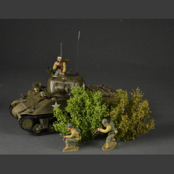 Tall bushes