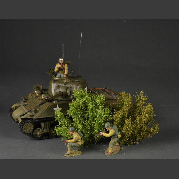 Tall bushes