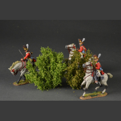 Tall bushes