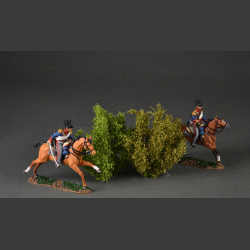 Tall bushes
