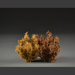 Shrubs late fall