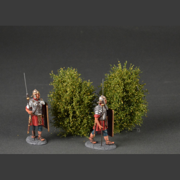 Large bushes