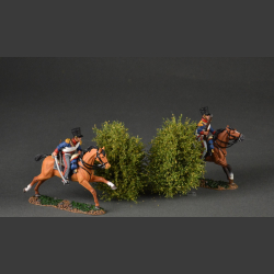 Large bushes
