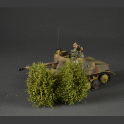 Large bushes