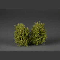 Large bushes