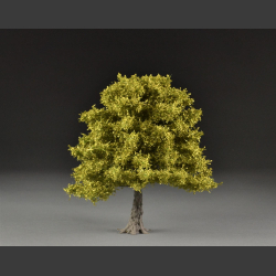 Lind tree spring