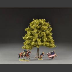 Lind tree spring