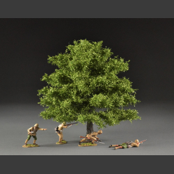 Lind tree sommer