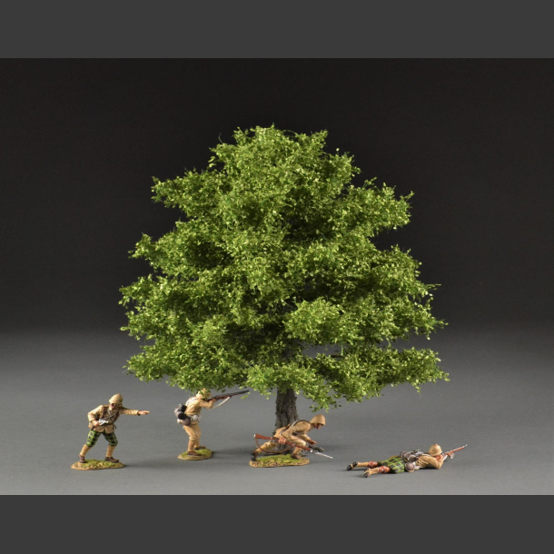 Lind tree sommer