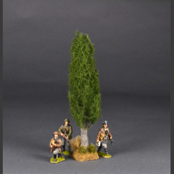 Cypress tree