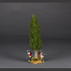 Cypress tree