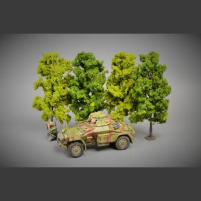 Leafy trees 
