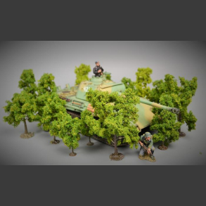 Trees / bushes 