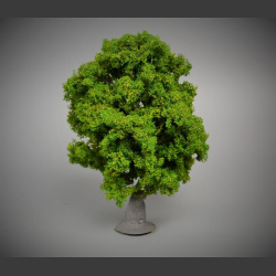 Oak tree 