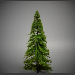 Fir Tree