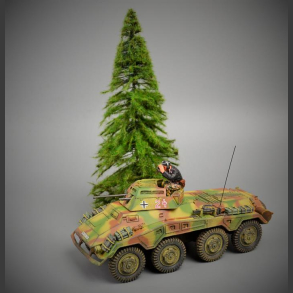 Fir Tree