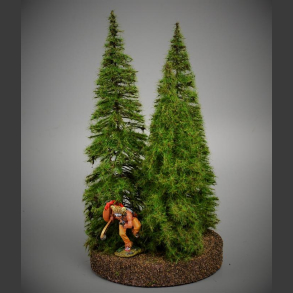 Fir Trees 