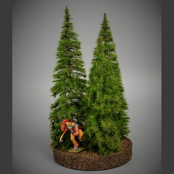 Fir Trees 