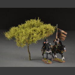 Acacia tree