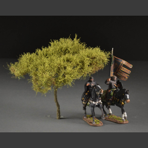 Acacia tree