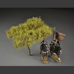Acacia tree