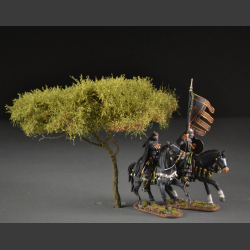 Acacia tree
