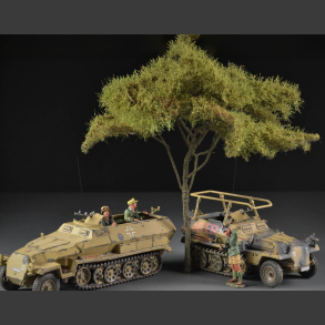 Acacia tree - large