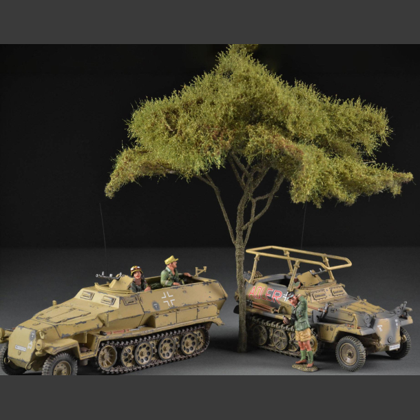 Acacia tree - large