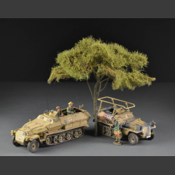 Acacia tree - large