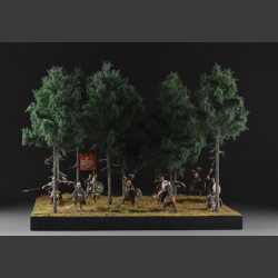 Coniferous forest - diorama