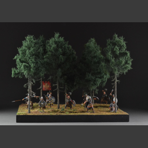Coniferous forest - diorama