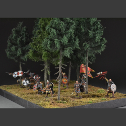 Coniferous forest - diorama
