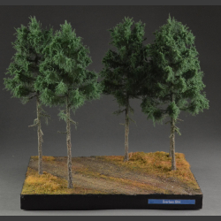 Coniferous forest and road - diorama