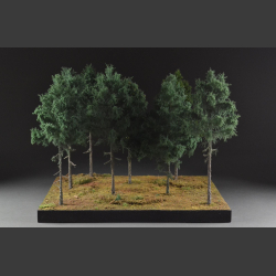 Coniferous forest - diorama