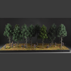 Coniferous forest - diorama
