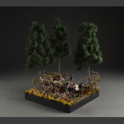 Coniferous forest and road - diorama