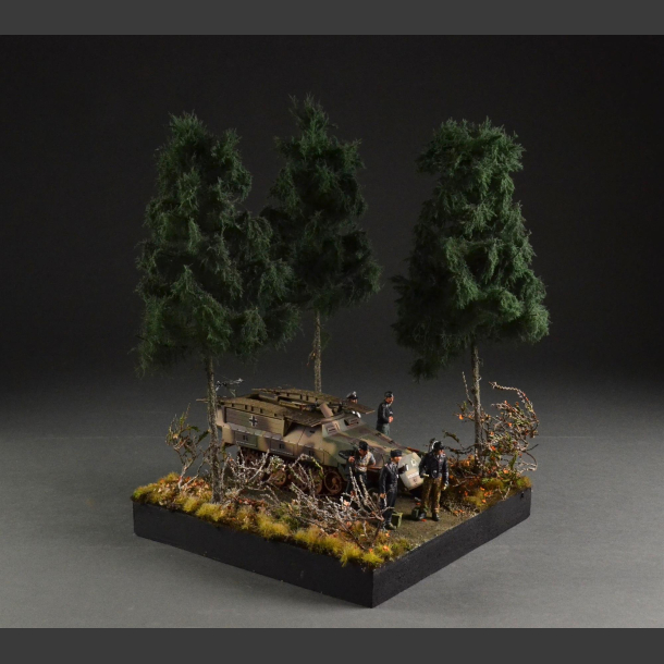Coniferous forest and road - diorama
