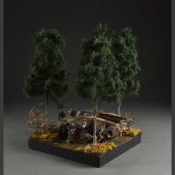 Coniferous forest and road - diorama