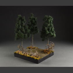 Coniferous forest and road - diorama