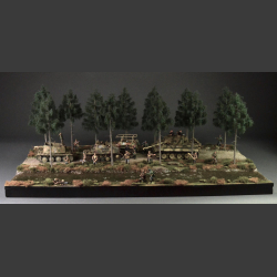Gravelroad and paths through coniferous forest - diorama