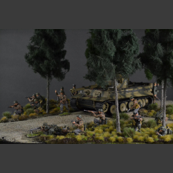 Gravelroad and paths through coniferous forest - diorama