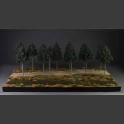 Gravelroad and paths through coniferous forest - diorama